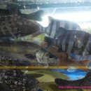 정우농수산물 이미지