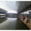 일영낚시터 이미지