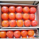 갓바위지구 광장 이미지