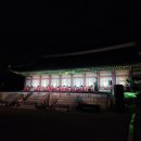 NR-1[세종로]-하-161 | '경복궁 야간개장' 후기 및 관람팁 (왕가의 산책, 궁중음악)