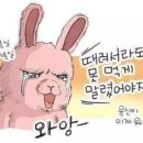 신양자강 이미지