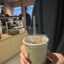 씨드그린(seed green) 이미지