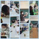 탑동초등학교 이미지