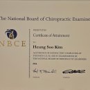 짐포레스트 이미지