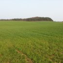 두산목장 이미지