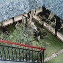 빌리버짐 이미지