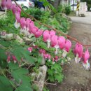 산음경로당 이미지