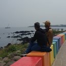 제주 해변중 가장 핫한 무지개해안도로.예쁘고 낭만과 달리고 싶은 곳,포토존,인생샷 필수코스 방문후기