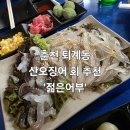 춘천 퇴계동 해산물은 여기! 산오징어 회 추천, 좋은안주, 좋은사람들과 &#39;젊은어부&#39; 내돈내산 리얼 후기