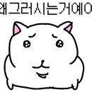 목포미즈아이병원 이미지