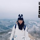 여자중계소 이미지