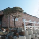 덕소 승마클럽 이미지