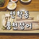 강수산 풍천장어구이 | 선학동맛집 연수구장어구이 선학강력풍천장어 솔직후기