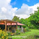 고요고목 돌집감성 풀빌라 스테이 이미지