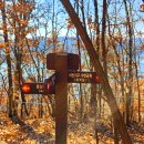 강정보 녹색길 이미지