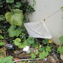 당감4동-7 이미지