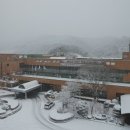 주정차31 이미지