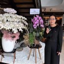 이민법률 행정사사무소 이미지