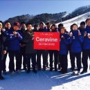 알펜시아 스키 & 스노우보드 이미지