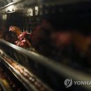 나주농장 이미지