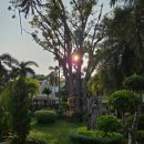 (주) 타이가든 이미지