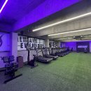 하데스클럽 가음정점 이미지