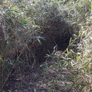 대투정비 이미지