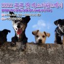 장군 주먹고기 이미지