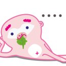 (주)호텔롯데롯데호텔월드 이미지