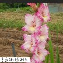 미애방 이미지