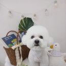 꾸미멍 네이버블로그