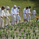 대나무랜드 이미지