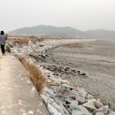 머르메가는길 이미지