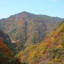 지리산내음 이미지