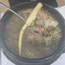 [여수 학동 한식] 명성참옻닭 삼계탕 한식당 방문 후기