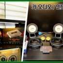 더하다풀 - 강남구 삼성로126길 14 | 더하다풀