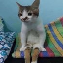 네일미정네일美정 | [180화] 봄이 와서야 비로소 그때가 겨울이었다는 것을 깨닫는다