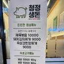 청정생돈