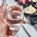 서해 | 송정역 횟집 서해수산 오징회 후기