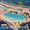 소노캄거제목욕장(사우나) | [경남/거제]소노캄거제 오션어드벤쳐 워터파크 후기/할인 정보/이용 꿀팁/놀이기구 후기