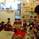 고양이 유치원 이미지