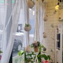 군포로627번길 이미지