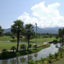 그린벨리 이미지