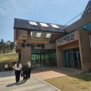 전남 광주근교 꽃구경 지리산 치즈랜드 수선화 절정