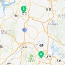로즈인셀덤대리점