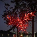 은파호수공원 이미지