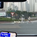 우정환경자원 | 2025 국가직: 우정행정직 합격후기 (2) - 면접 당일, 면접 질문, 팁