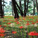 성주산휴양림 이미지