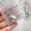 하인츠동물병원 | [꼬미일기] 고양이 심장병 HCM, 정기검진 후기 + 비용