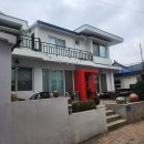 전주 한옥마을 애견 동반 가능 숙소 &#34;꼴 펜션&#34; 후기